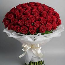 Букет 101 Красная роза Блэк Мэджик в Сунже Республики Ингушетия