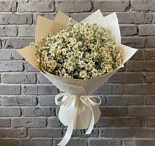 Букет цветов из:  Ромашки в Сунже Республики Ингушетия