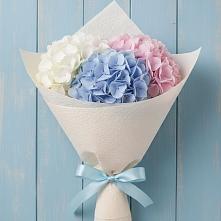 Букет цветов из:  Гортензия в Сунже Республики Ингушетия