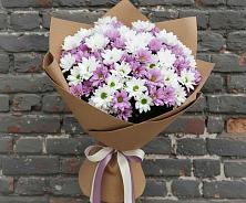 Букет цветов из:  Хризантемы в Сунже Республики Ингушетия