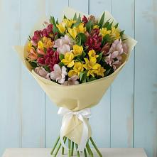 Букет цветов из:  Альстромерии #REPLACE_PRED# Сунже Республики Ингушетия