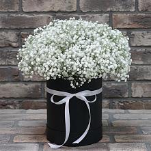 Цветочная композиция из Гипсофила в шляпной коробке в Сунже Республики Ингушетия