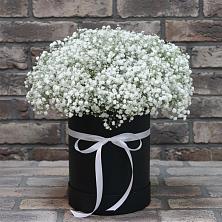 Цветочная композиция из Гипсофила в шляпной коробке в Сунже Республики Ингушетия