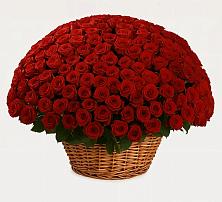 Премиум букет из: Розы в Сунже Республики Ингушетия