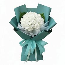 Букет цветов из:  Гортензия #REPLACE_PRED# Сунже Республики Ингушетия